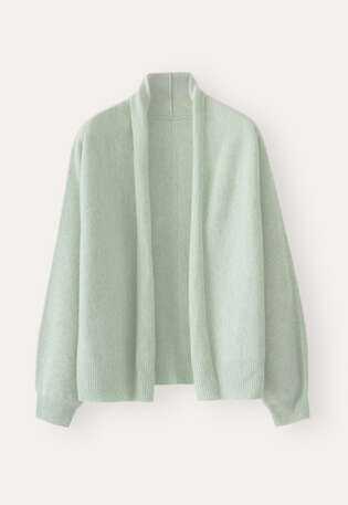 Dolman shawl-collar cardigan, Soft mint, webstill