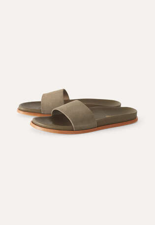 Sliders, Forest, webstill
